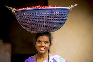 Перчик. Район Cabo De Rama Fort.