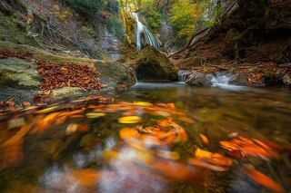 1. Джур-Джур в Украине