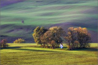 Вторая половина дня. Тени от облаков закрывают то передний, то задний планы.