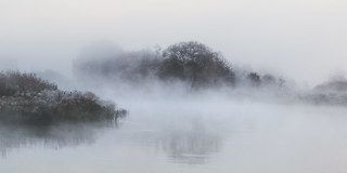 Сонная Вилия