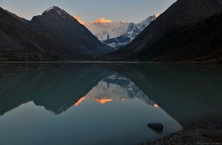 Белуха в золоте