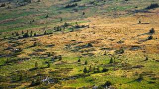 Плато хребта Зигальга. Южный Урал.