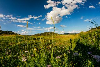 Чуйский тракт