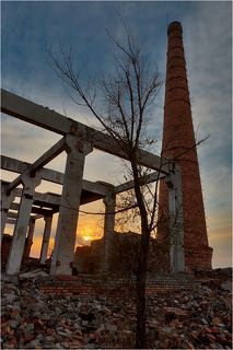 ... и деревья не растут.