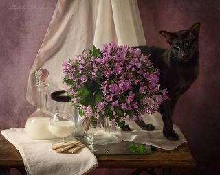 Может по бокалу молока?