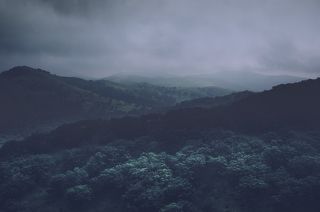 Полуостров Гамов.