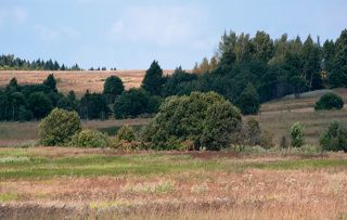 01 Смоленская провинция находится на крайнем западе Московской области. Наиболее выразительные её черты - это крутые склоны в местах пересечения моренных гряд с долинами рек...