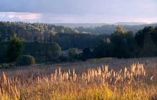 02 Московская провинция находится к северу от столицы вдоль Клинско-Дмитровской гряды. Для неё характерен грядовый, волнистый рельеф, прорезанный глубокими оврагами и речными долинами.