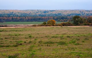 03 Верхне-Волжская провинция располагается в одноименной низменности на крайнем севере Московской области и заходит на её территорию только южным краем. Для неё характерны плоские и слабоволнистые равнины с небольшими абсолютными высотами.