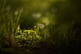 Уходит свет