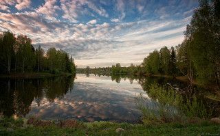 Время прислушаться к пению птиц...