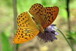 очередь на посадку