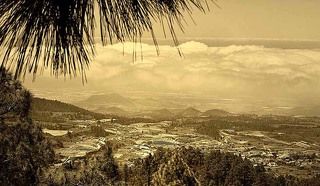 о. Тенерифе, долина Оротава