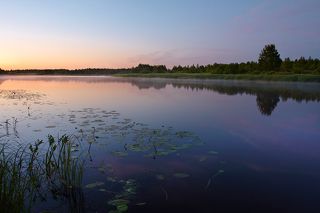Перед рассветом