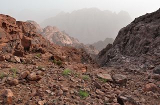 .. - прогуляться по горным лугам..