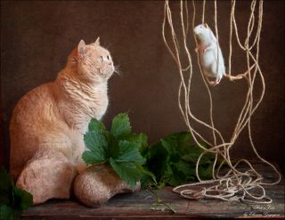 Познакомьтесь - это Феликс)). Крысик, сделанный по моему заказу трудолюбивыми ручками мастерицы по валянию из войлока. Кот, как самый главный мой герой, первым его увидел.