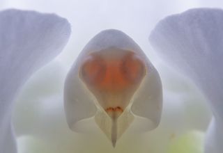 А вам встречались привидения?