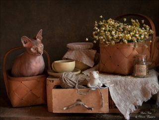 Феликс насобирал лекарственной ромашки. Нарезает веревочки, чтобы связать несколько пучков и насушить на зиму. Он знает, как хорошо зимним вечером заварить чай из ромашки и попить его с мёдом. Феликс надеялся, что Оливка ему поможет, но она только мечтательно смотрит куда-то в окошко и совсем не хочет заниматься делами. Зима ещё не скоро...