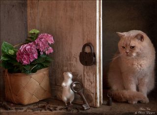 Кот загадал Феликсу загадку - нужно найти ключ, который открывает большой старый замок. Феликс перепробовал целую кучу ключей - и маленьких, и побольше. Притащил даже такой огромный ключ, который больше самого Феликса. Но замок не открывается... Похоже, что Кот схитрил, и настоящий ключ спрятал за дверью. Вот и взгляд у него такой коварный...