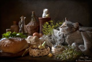 Феликс решил прибраться в кладовке. Нужно развесить собранный чабрец и зонтики укропа, навязать косички из луковиц. Одна луковка случайно упала в пустой горшочек из-под молока, и Феликсу пришлось её оттуда доставать. Как же он удивился, когда вылезая из горшочка, обнаружил в корзинке Тину! Та предпочла его не заметить, Ну и пусть, не больно-то и нужно!