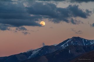 В одиночестве ждущая дня