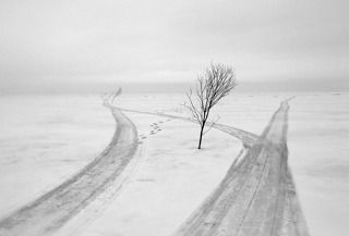 своя дорога из серии \