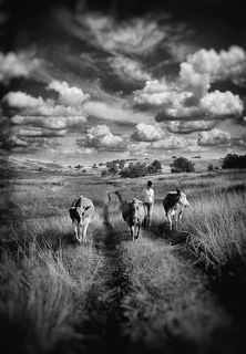 Молочный путь