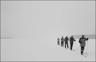 Степь да степь кругом.