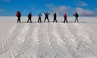 Снежный паркет.