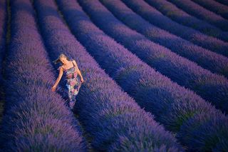 Лавандовые поля Валенсоля, Прованс, Франция