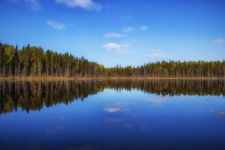 Скоро осень