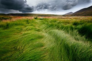 След вездехода.