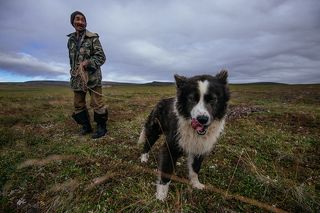 Вович и его новая оленегонка.