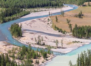 Где-то между Джазатором и Аргутом. Слияние Коксу и Аргута.