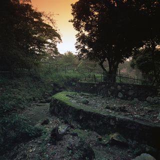 Tones of Green / Оттенки Зеленого 

Гонг Конг, Апрель  2013 г.