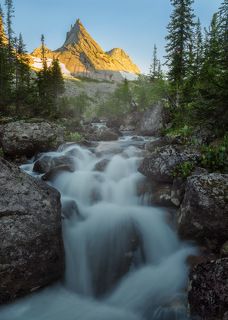 Вершины параболы.