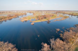 Заливные луга Оки. Рязанская область, охранная зона Окского биосферного заповедника.