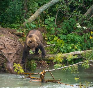 Этап 1: наблюдение.