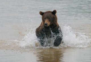 Этап 2: бросок.