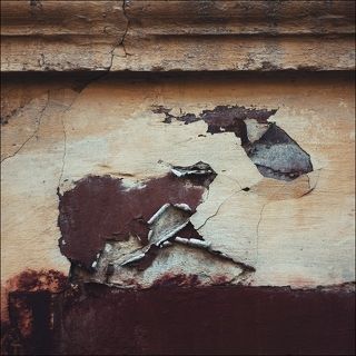 Бой быка и слона