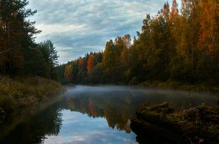 Под мостом протекает река Колпь.