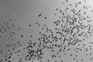 Радостная картина мира / A joyful picture of the world