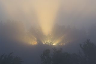 Волшебные лучи