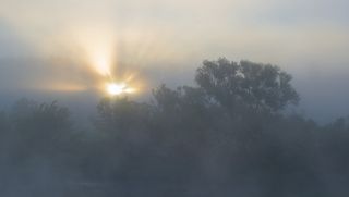 Туманное утро