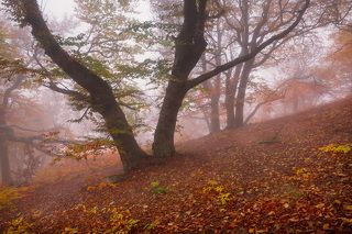 Фототур «Золото Демерджи» 14-18/10/2015г. http://phototours.com.ua/tours/zoloto-demerdzhi