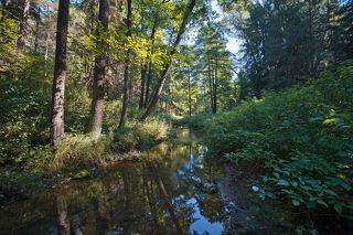 01 Небольшая речка Верёмушка смотрится очень уютно