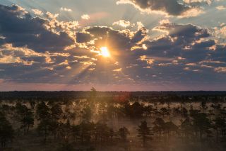 2. В результате потепления климата и понижения уровня грунтовых вод озеро постепенно заростало, увеличивая мощность мохово-торфяной подушки