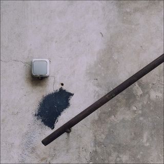 Бегущий ёжик.