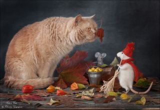 Наступила осень. По утрам нередки заморозки, а листья на деревьях радуют всеми оттенками багрянца. Феликс надел шапочку, повязал шею шарфом, чтобы не простудиться, и подметает двор, собирает в кучу облетающие листья. Пришёл Кот, взмахнул своим хвостом. Хотел как лучше, помочь хотел, а получилось как всегда – листья вновь разлетелись по двору, как будто Феликс и не трудился всё утро. Ух, как рассердился наш герой! Замахнулся было метлой на Кота, но вдруг увидел маленькую мышку, испуганно выглядывающую из-за старого бревна, которое всё никак не распилить на дрова. Хорошо, что Кот отвлёкся на кленовый листик, танцующий медленный осенний танец в прохладном утреннем воздухе. Беги, мышка, прячься скорее!