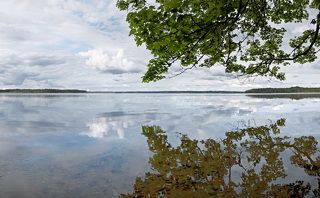 В рекламных проспектах о Калининградской области Виштынецкое озеро любят называть европейским Байкалом. Не знаю на сколько об этом в курсе в Европе, но определённое сходство есть. Это, во первых, то что в озеро впадает пара десятков различных ручьёв и речек, а вытекает лишь одна единственная – Писса, а во вторых, чистота и прозрачность воды, позволяющая видеть камни на дне на глубине до 10 метров.